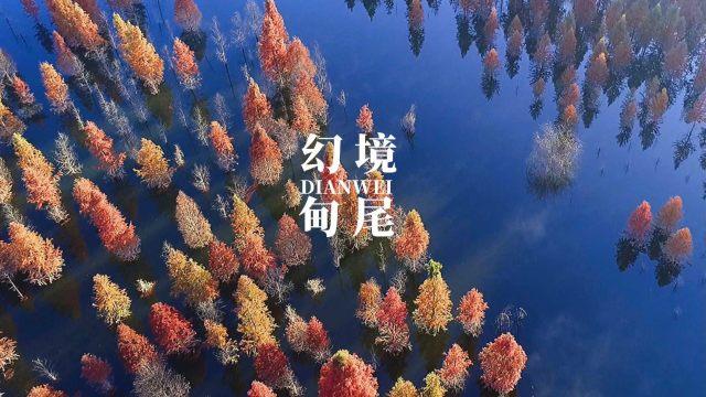 即日起，深圳地铁运营时间有变→